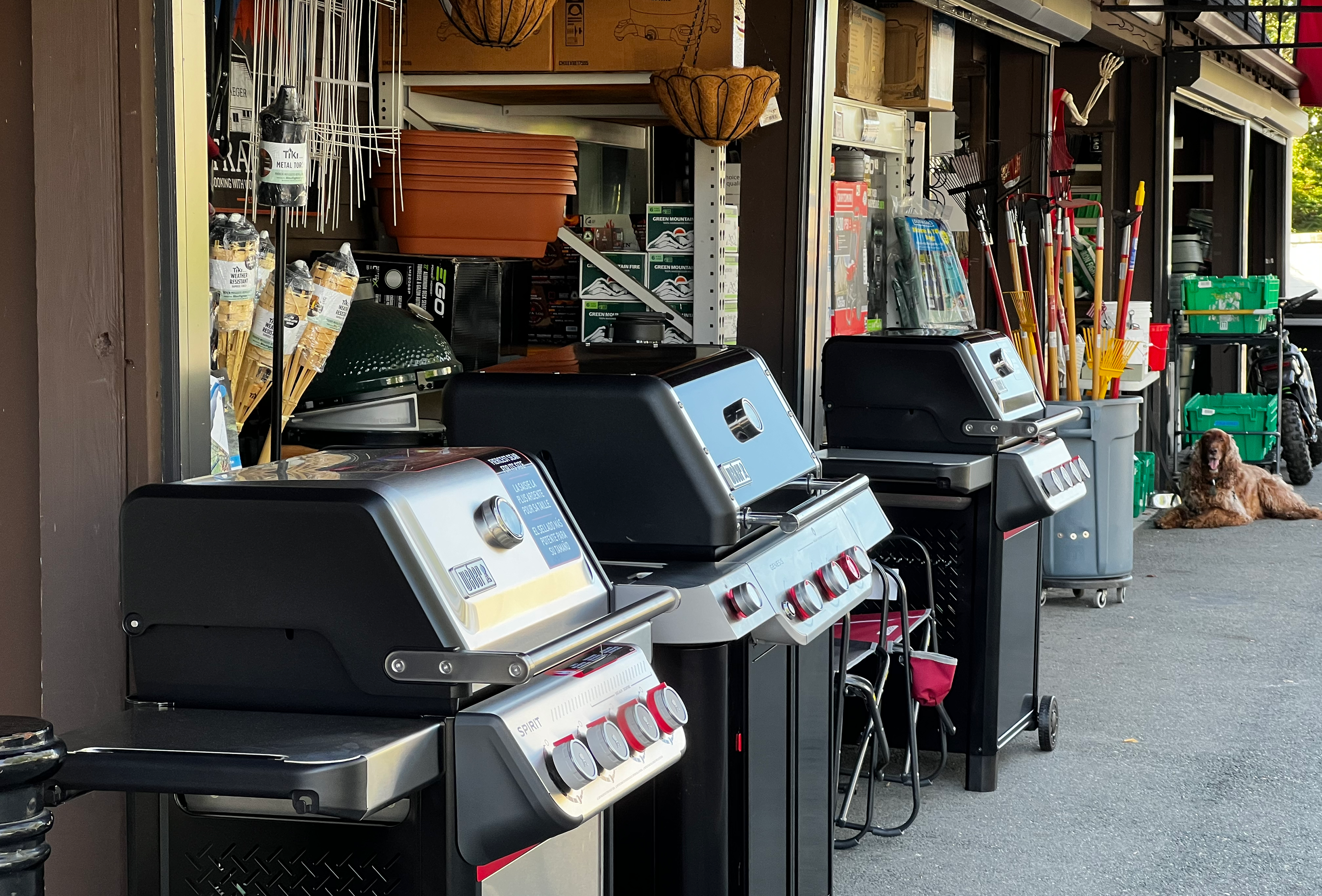 Ace Hardware Marblehead & Brookline